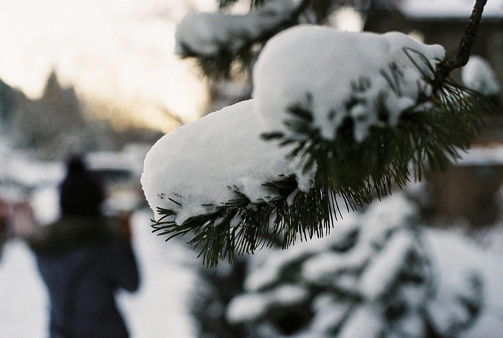 aspen_film1-25