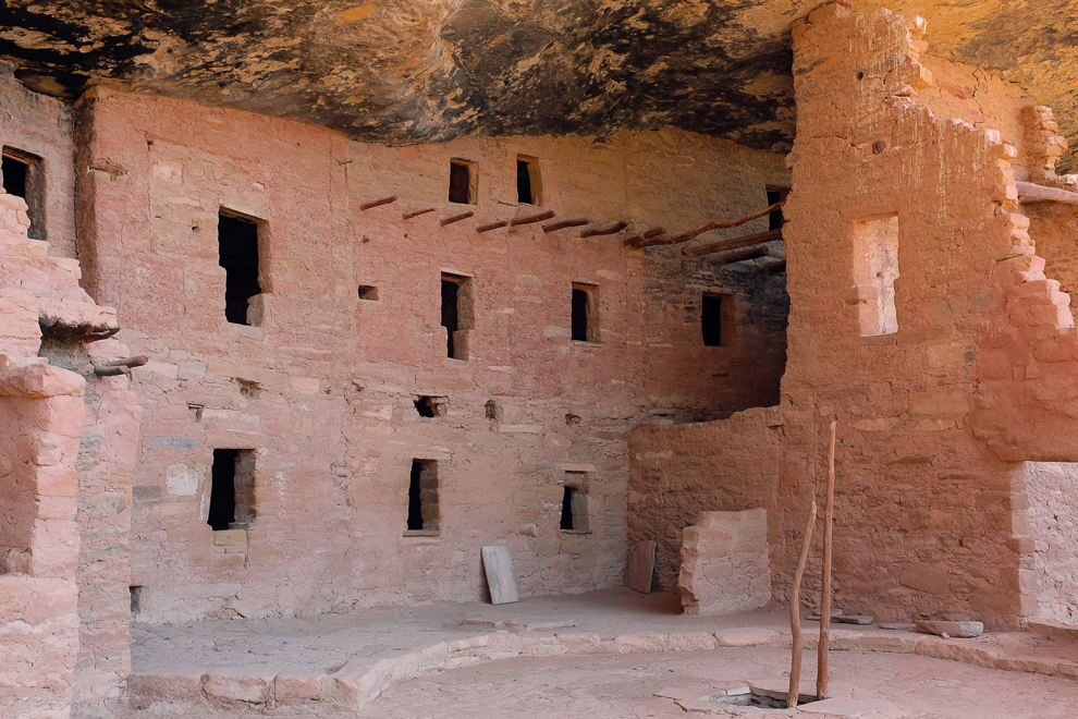 Spruce Tree House