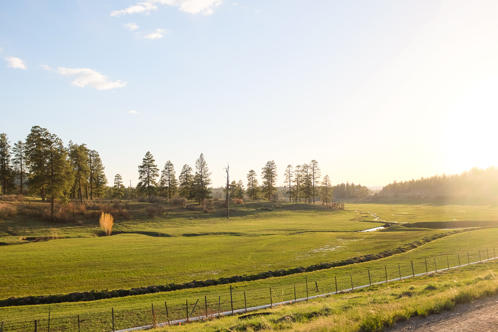 Somewhere near Pagosa Springs