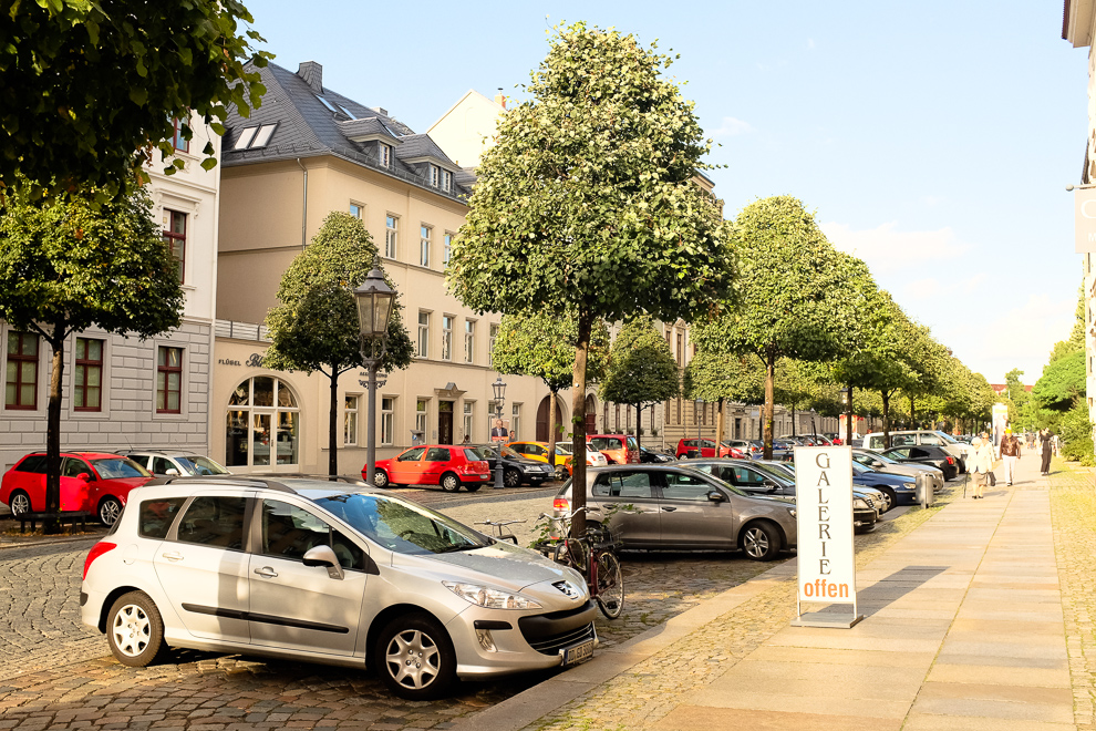 Dresden-7