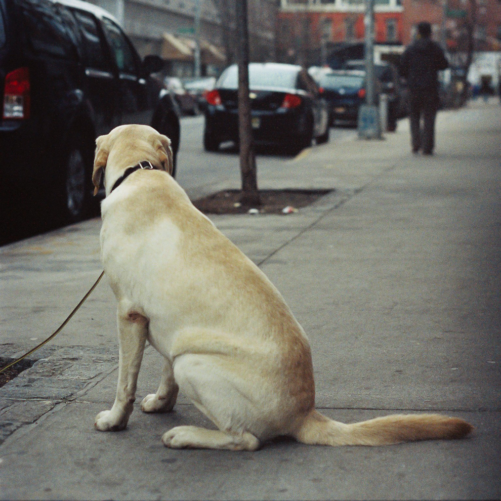 nyc2014-03-9
