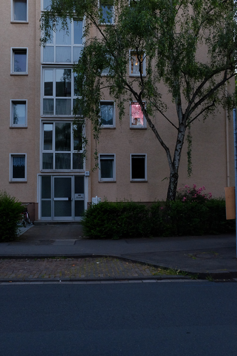 neustadt-201401-2