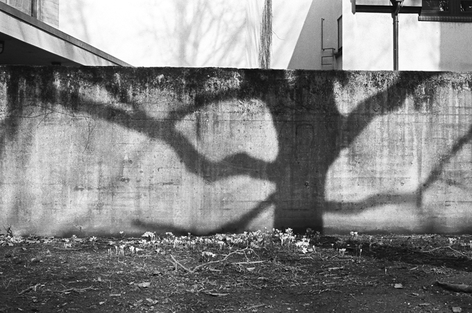 Mainz2015bw-11